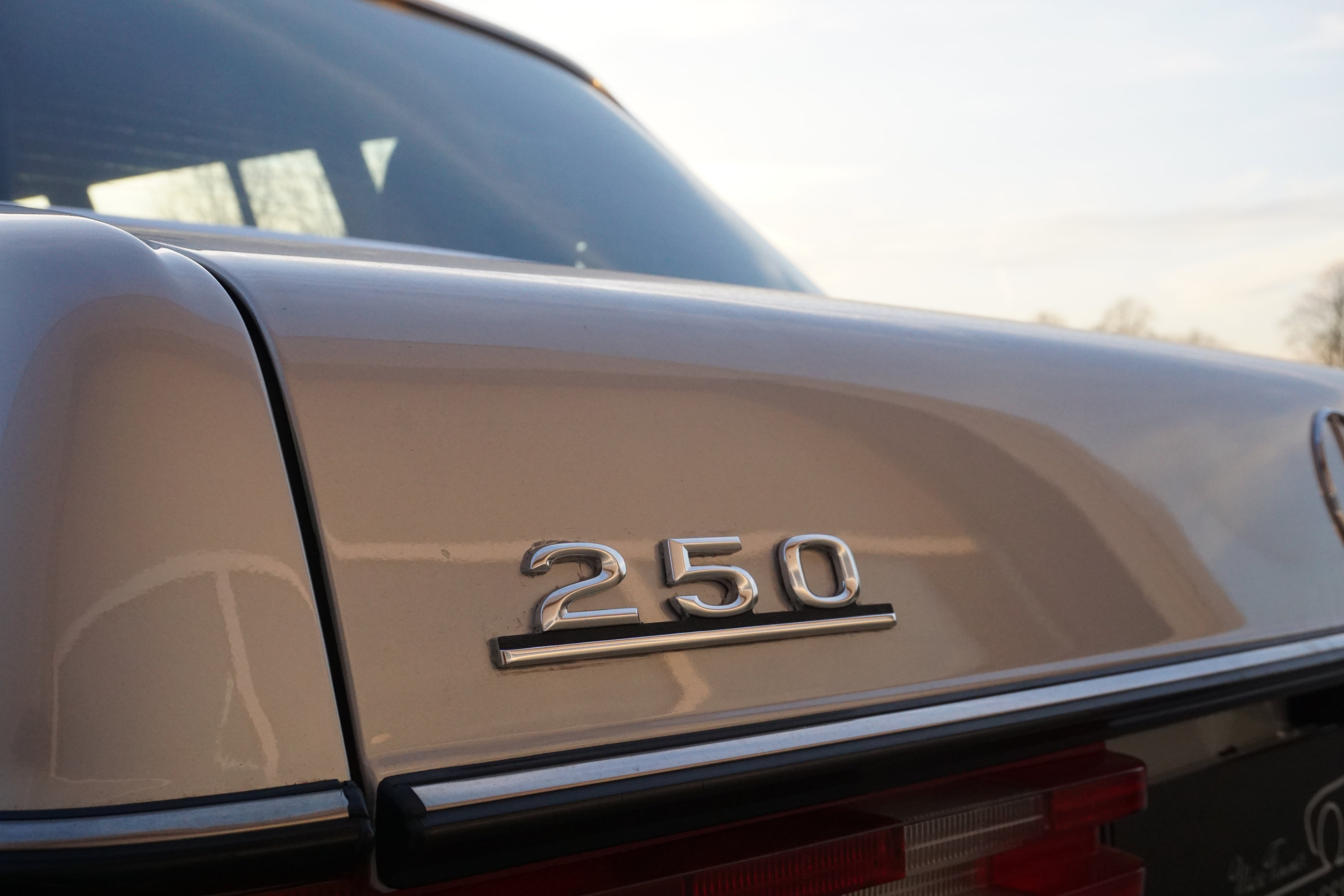 Mercedes-Benz 250 (W123)